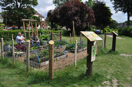 demogarden500x332 Harvest Demo Garden Preston Park Brighton