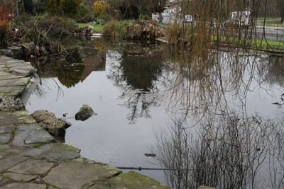 RockGarden-102