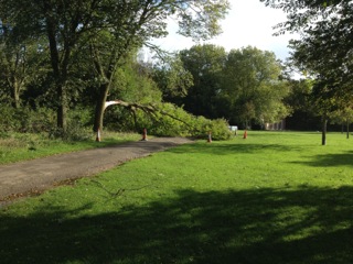 Storm damage
