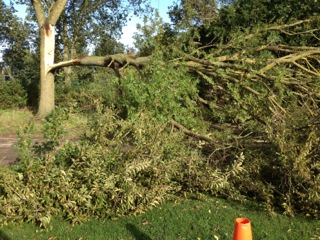 storm damage2
