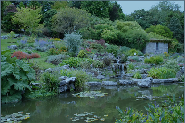 Rock Garden